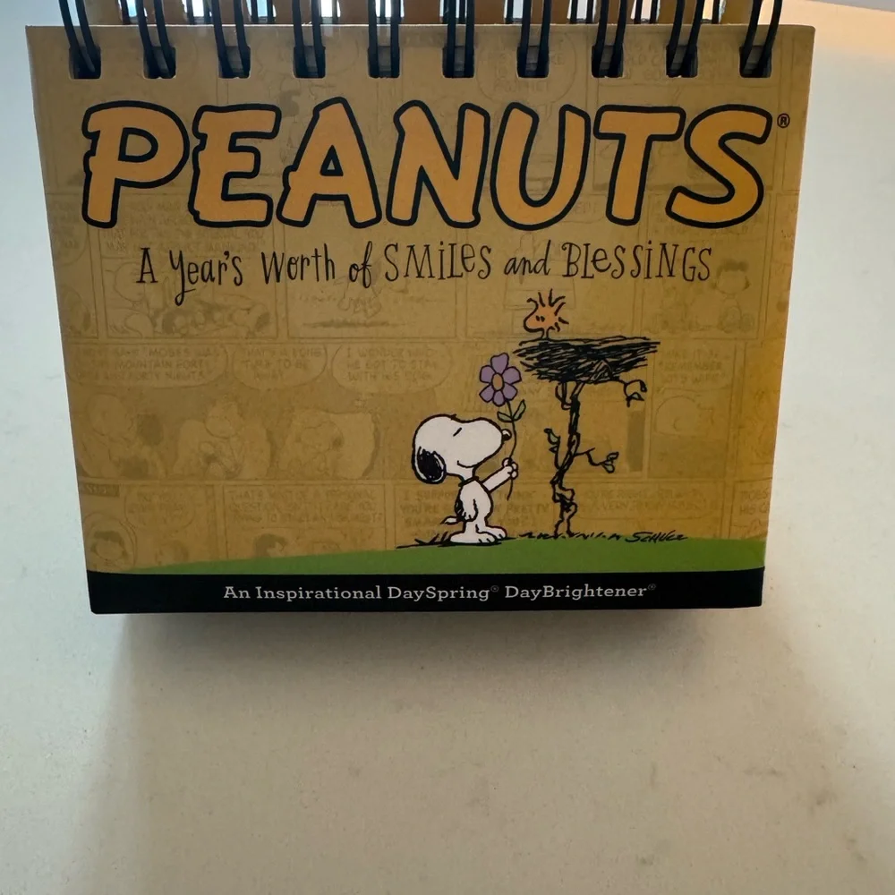 Peanuts DaySpring Daily Flip Calendar - Picture 1 of 2